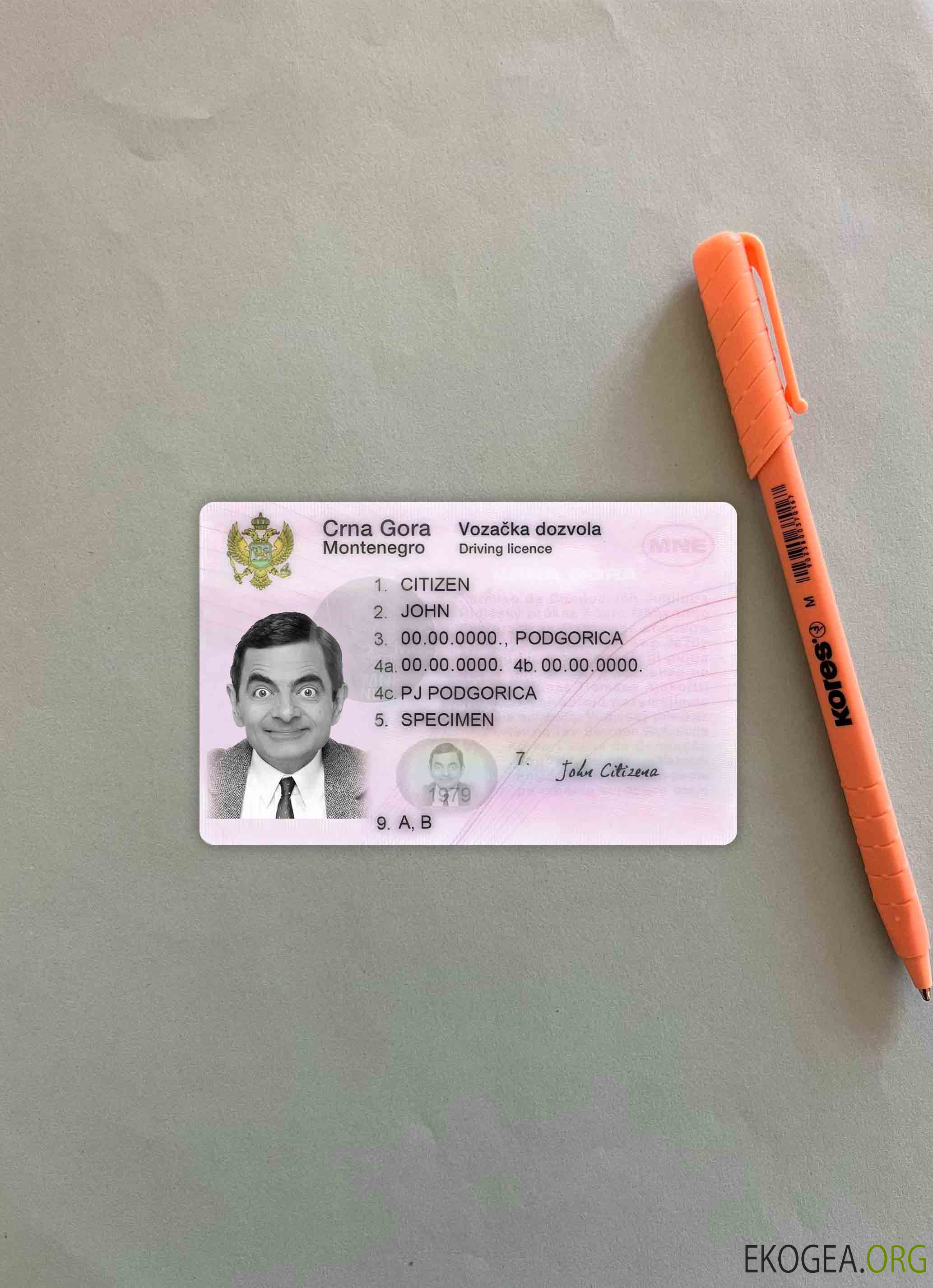 Photolook du permis de conduire du Monténégro AVANT